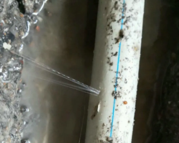 黄浦卫生间测漏水多少钱